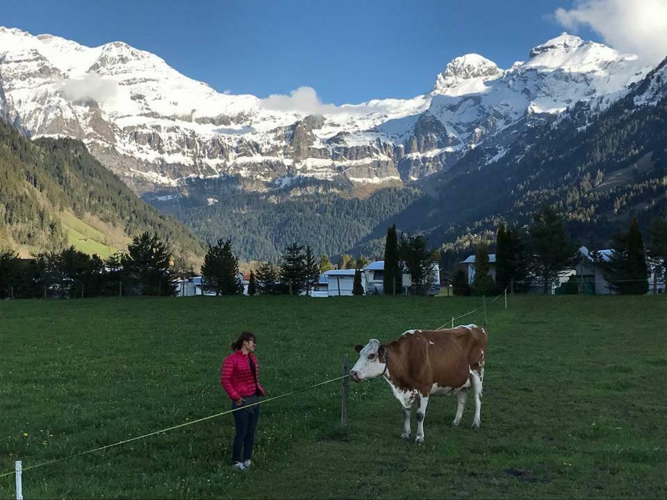 Chalet ELK Lenk im Simmental Exterior foto